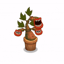 my singing monsters msm potbelly rare potbelly rare monsters my singing monsters msm potbelly rare potbelly rare monsters