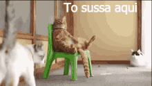 Sussa GIF - Garfield Chill GIFs