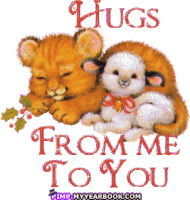 Hugs Hug From Me To You Sticker - Hugs Hug From Me To You Friends Stickers