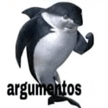 a black and white dolphin is jumping in the air with the word arguments .