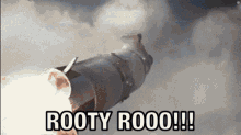 Rootyroo Rootroop GIF