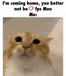 a cat with the words i 'm coming home you better not be fps moo me