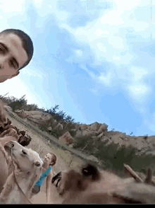 Hump Day Camel GIF - Hump Day Camel Double Take GIFs