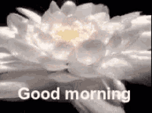 Good Morning Sunrise GIF - Good Morning Sunrise Bloom GIFs