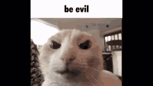 Be Evil Be Nice GIF - Be Evil Be Nice GIFs