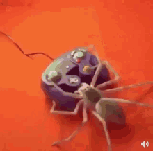 Spider Gaming GIF - Spider Gaming GIFs