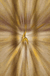 a blurred image of a basketball going through a tunnel