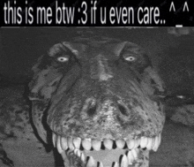 a black and white photo of a dinosaur with the words this is me btw 3 if u even care