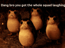 Dang Bro You Got The Whole Squad Laughing GIF - Dang Bro You Got The Whole Squad Laughing GIFs