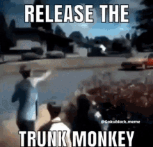 Monkey Meme GIF - Monkey Meme Trunk Monkey GIFs