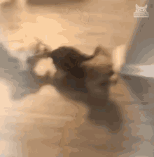 Come With Me Drag GIF - Come With Me Drag Where Are We Going GIFs