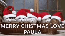 Merry Christmas Cute GIF - Merry Christmas Cute Cats GIFs