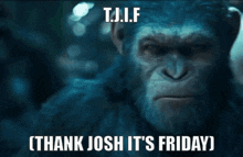 Tjif Thank Josh It'S Friday GIF - Tjif Thank Josh It'S Friday Friday GIFs