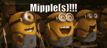 Mipple Nipple GIF - Mipple Nipple Moob GIFs