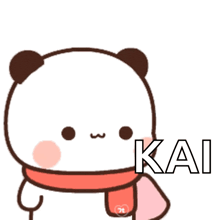 a cartoon panda bear wearing a red scarf and the word kai