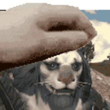 hrothgar petting