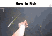 How To Fish GIF - How To Fishing Trick GIFs