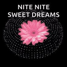night nite nite night night good night sweet dreams