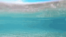 Swimming Just GIF - Swimming Just Keep GIFs
