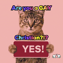 a cat holding a sign that says " yes "