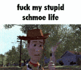 a picture of woody from toy story with the words fuck my stupid schmoe life