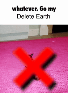 a pink rug with a red cross and the words " whatever go my delete earth " on the bottom