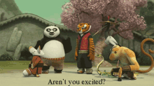 Kung Fu Panda Po GIF - Kung Fu Panda Po Arent You Excited GIFs