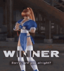 Dead Or Alive Fighting GIF - Dead Or Alive Fighting Fight GIFs