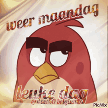 Angry Birds Red GIF - Angry Birds Red Mad GIFs