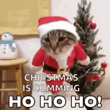 Festive Hohoho Christmas GIF - Hohoho Christmas Merry Christmas GIFs
