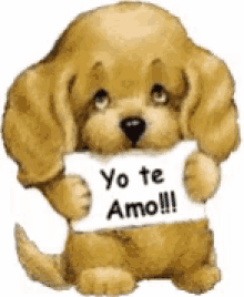Amor Yo Te Amor GIF - Amor Yo Te Amor Puppy GIFs
