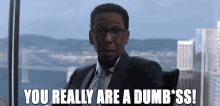You Really Are Dumb Stupid GIF - You Really Are Dumb Stupid Idiot GIFs