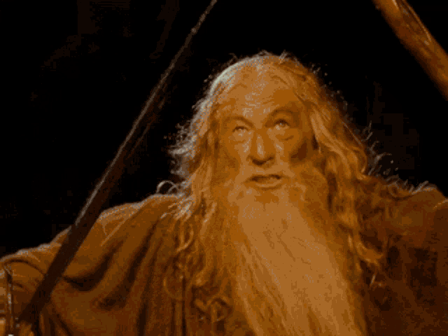 https://tenor.com/en-GB/view/gandalf-the-grey-lord-of-the-rings-ian-mckellen-mines-of-moria-fellowship-of-the-ring-gif-24036179