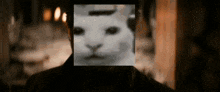 Uncanny Cat GIF - Uncanny Cat GIFs