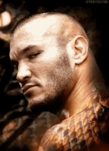 Randy Orton Viper GIF - Randy Orton Viper The Viper GIFs