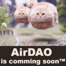 Air Dao Air Dao Is Coming Soon GIF - Air Dao Air Dao Is Coming Soon Ambrosus GIFs