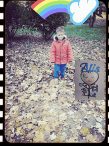 a little boy in a red jacket is standing in a pile of leaves next to a sign that says alis on it