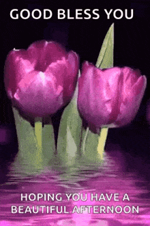 Sparkling Tulip GIF