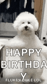 a small white dog is standing on its hind legs and says `` happy birthday y flukey duke lol '' .