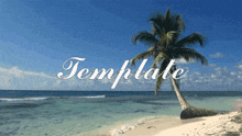 a palm tree on a beach with the word template written below it