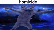 Homicide Funny GIF - Homicide Funny Cat GIFs
