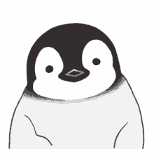 Wink Animal GIF - Wink Animal Penguin GIFs