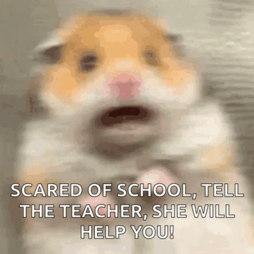 Hamster Shocked Gif Hamster Shocked Afraid Discover Share Gifs