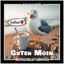 a picture of a seagull standing next to a cup of coffee that says " guten moin "