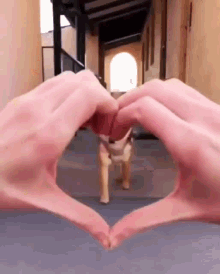 Shiba Inu Doge GIF - Shiba Inu Doge Love GIFs