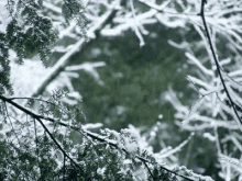 Snowfall Leaves GIF - Snowfall Leaves Trees GIFs