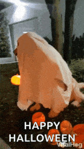 Halloween Costume Halloween GIF - Halloween Costume Halloween Dog GIFs