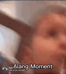 Alan Alang GIF - Alan Alang Alamg GIFs
