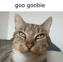 Goo Goobie GIF