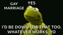 kermit the frog is talking about gay marriage and i 'd be down for that too whatever works , yo .